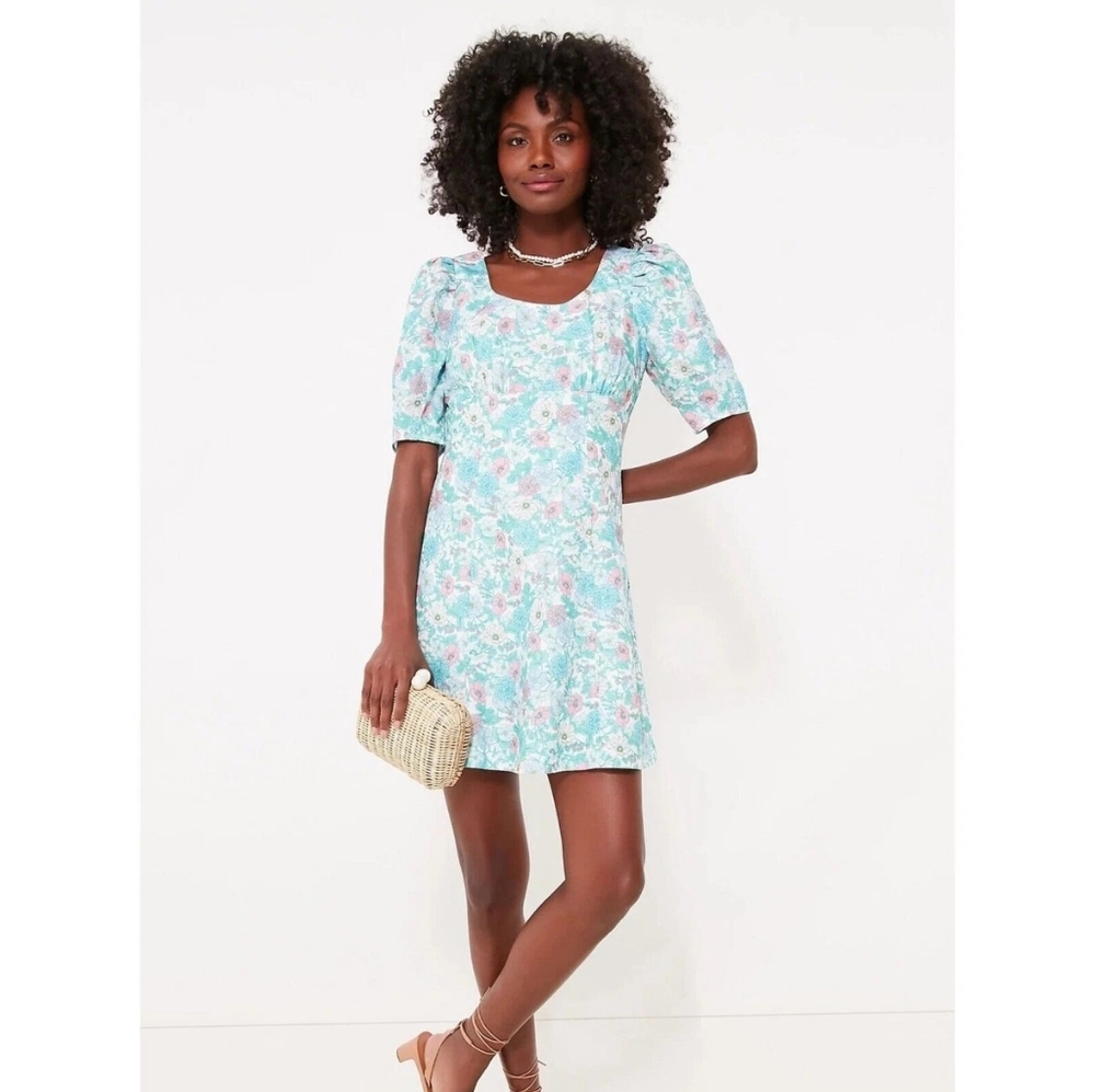 TUCKERNUCK HYACINTH HOUSE Floral Puff Sleeve Sallie Dress XXL
